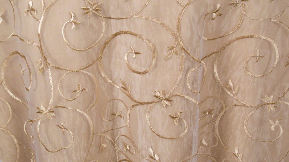 Champagne Embroidered Sheer - Image 2