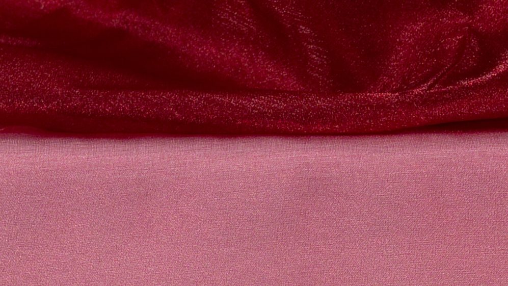 Garnet Organza